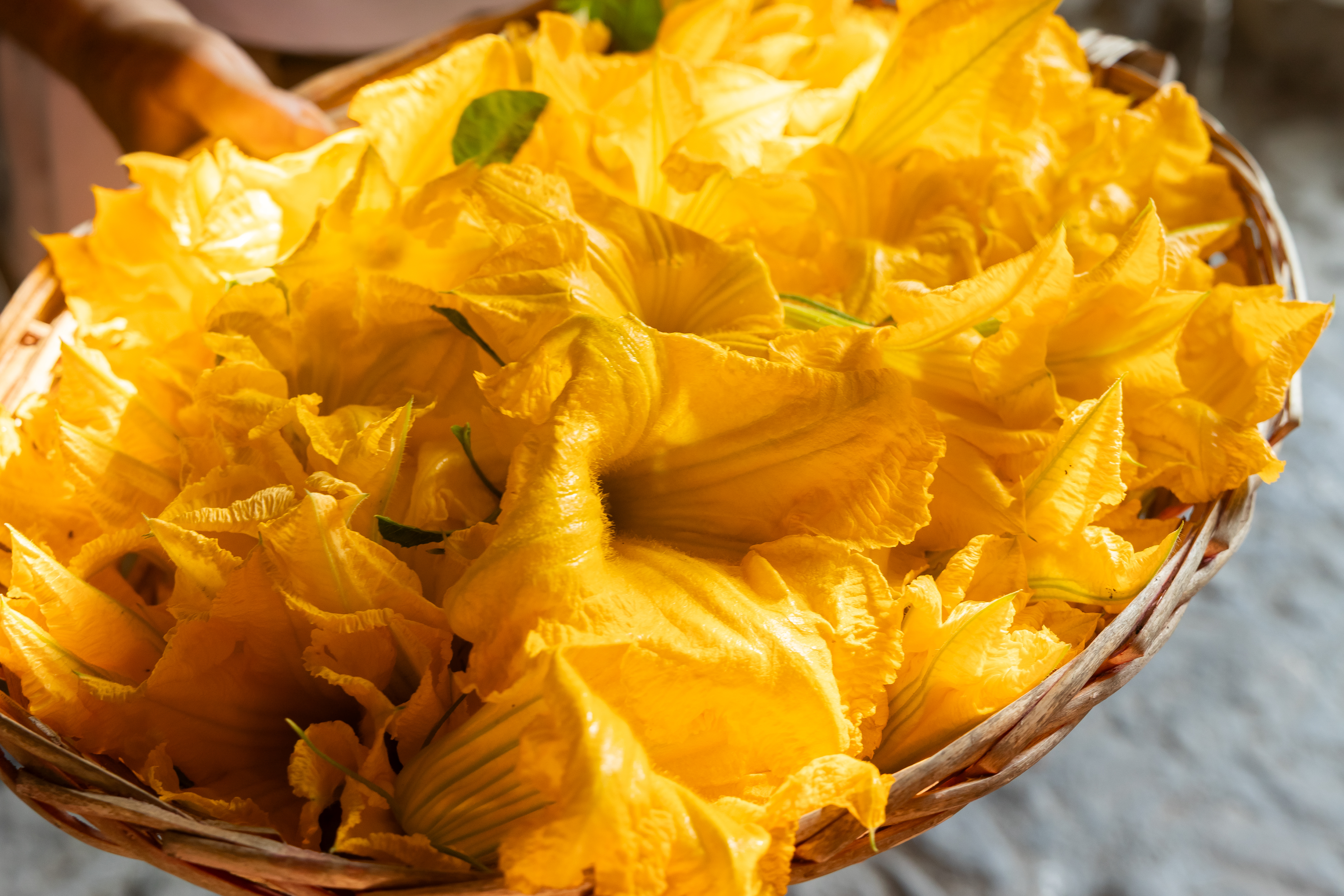 Casa vacanze 'Come Una Volta' Apricale | fiori di zucca liguri | gastronomia e ristoranti ad Apricale